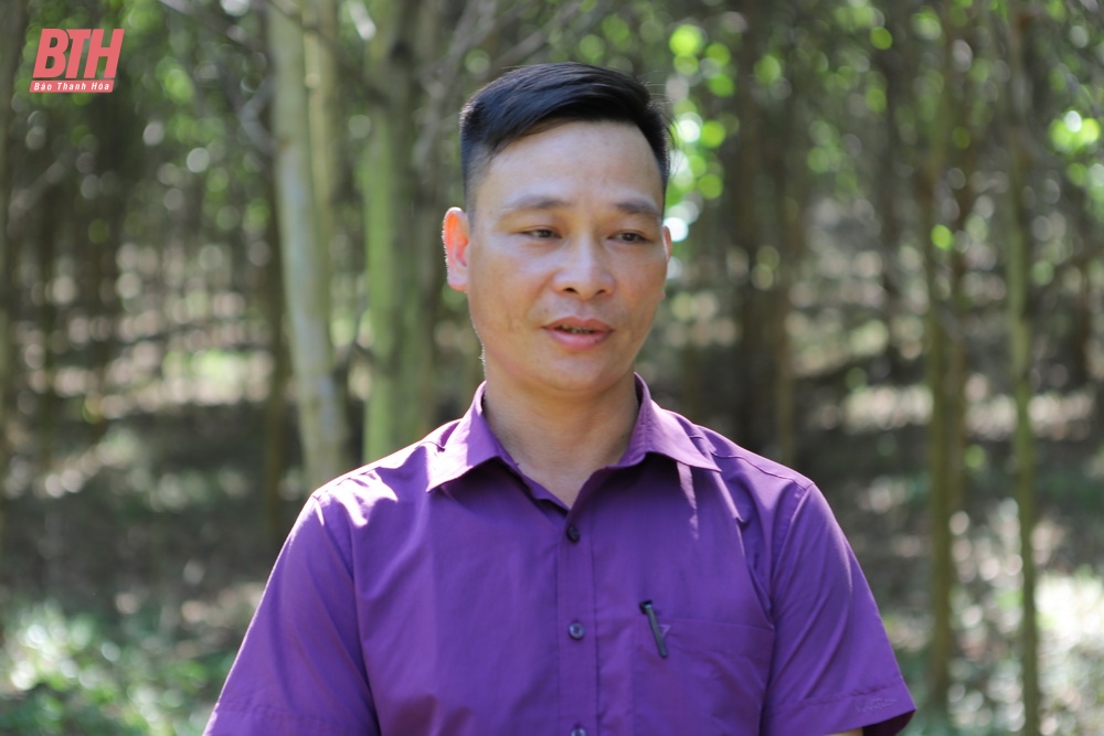Anh Hà Đức Thịnh, người dân thị trấn Thường Xuân đồng tình, ủng hộ và phối hợp với ngành điện chặt bỏ các cây đã trồng có nguy cơ đe dọa đến hệ thống lưới điện.